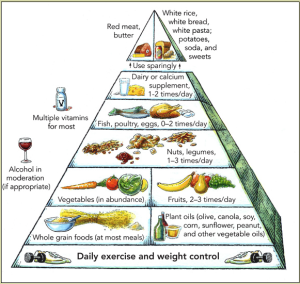 harvard_food_pyramid